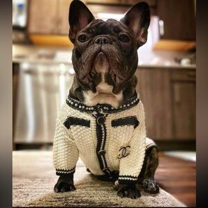 Chewnel CC Designer Dog Sweater NWOT